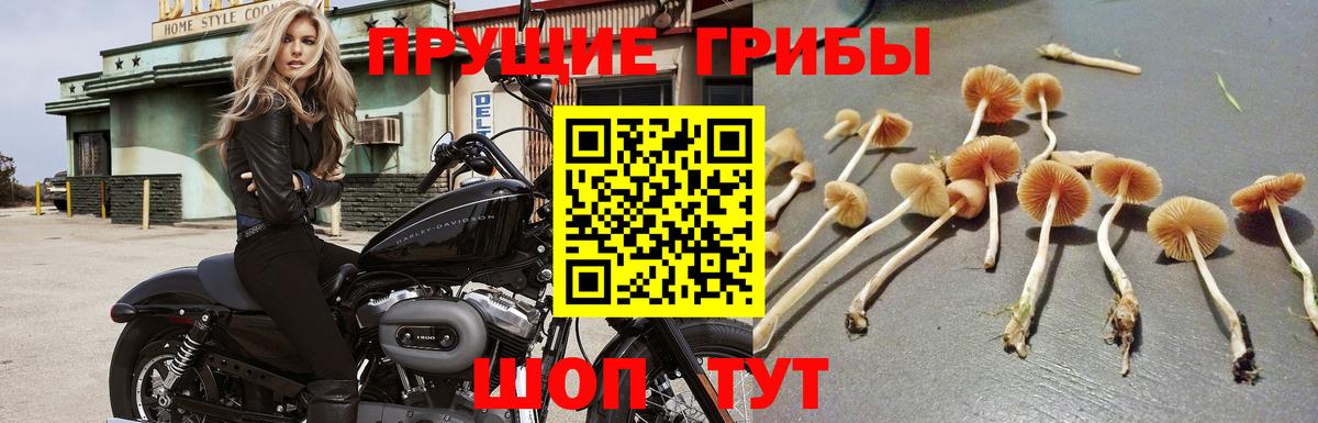 Псилоцибиновые грибы мухоморы Лянтор